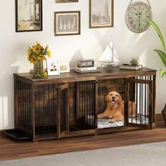 a dog is sitting in his crate on the floor next to a wall with pictures