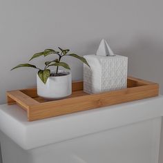 a white toilet sitting next to a potted plant on top of a wooden tray