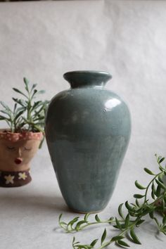 two vases sitting next to each other on a white surface with plants in them