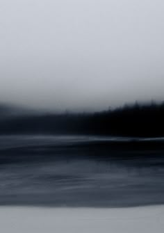 a black and white photo of trees in the distance, with fog over water behind them