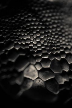 black and white photograph of hexagonal shapes