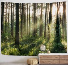 the sun shines through the trees in this forest scene tapestry wall hanging on a wall