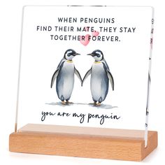 two penguins standing next to each other on a wooden stand with the words when penguins find their mate, they stay together forever