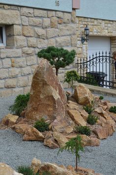 a bonsai tree in front of a stone building