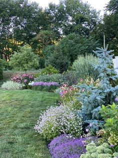 a garden filled with lots of different types of flowers