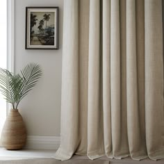 a potted plant sitting in front of a window with curtains hanging on the wall