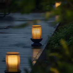 two lanterns sitting on top of a wooden floor next to plants and bushes in the rain