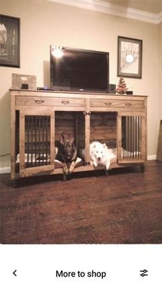 two dogs are sitting in their kennels on the floor next to a flat screen tv