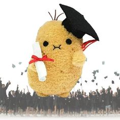 a stuffed animal with a graduation cap on it's head is in the air