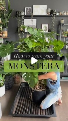 a woman sitting on top of a grill next to a potted plant in a kitchen