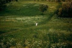 two people walking through a field with trees in the background and wildflowers all around