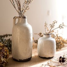 two white vases sitting on top of a table next to dried flowers and plants