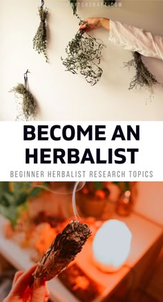 Herbology For Beginners, Herbs And Their Uses Natural Remedies, Herbs To Heal Wounds, Pain Relieving Herbs, Herbal Remedies For Allergies, Herbalist Accessories, Anti Viral Herbs, Herbal Medicine List, Herbal Remedies For Headaches