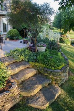 a garden with rocks, plants and trees in front of a house on a sunny day