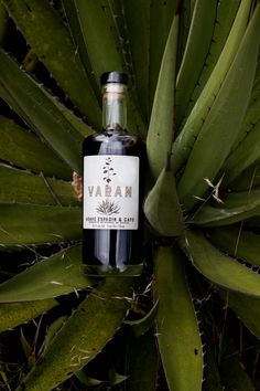 a bottle of marva on top of a plant