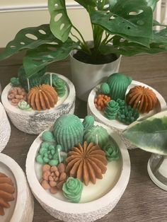 four cakes decorated with green, orange and white frosting are sitting on a table next to a potted plant