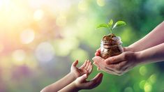 two hands holding a jar with a plant growing out of it