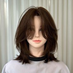 Wolf Haircut On Short Hair, Asian Wolfcut Woman Medium, Haircut For Short Hair Girl, Cute Haircuts Short Hair, Wolfcut For Short Hair, Wolf Cut Front View, New Hair Trends 2024, Trend Haircut 2024, Haircut Ideas For Short Hair Round Faces