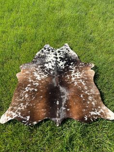 a brown and white spotted cowhide on green grass