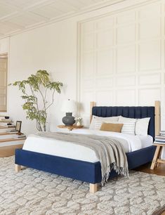 a bedroom with white walls, blue bedding and a plant on the side of the bed