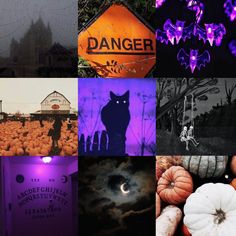 a collage of photos with purple and black lighting in the center, pumpkins on the ground, an orange sign that says danger