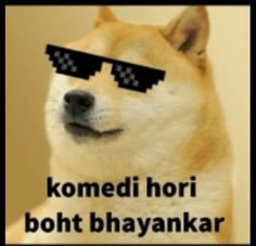 a dog with sunglasses on it's face that says, komedi hori boht bhayanakar