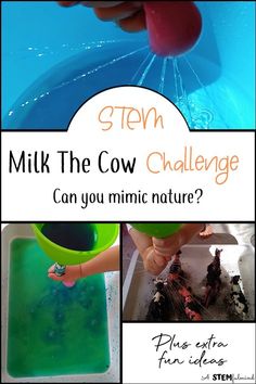 Milking Cow Activity Preschool, Farm Stem Activities, Cow Activities, Think Like An Engineer, Hyland Cow, Steam Activities Elementary, Toddler Stem, Elementary Stem, Ag Education