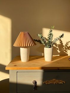 two vases with plants in them sitting on a table next to a light fixture