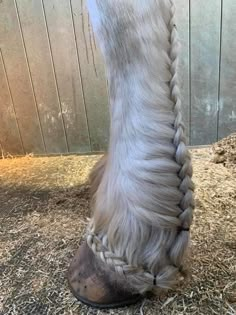 Cute Horse Hairstyles, Horse Hair Styles, Horse Mane Styles, Horse Hairstyles, Horse Mane Braids, Horse Hair Braiding, Horse Mane, Funny Horses