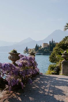 purple flowers are blooming on the side of a stone wall near water with mountains in the background