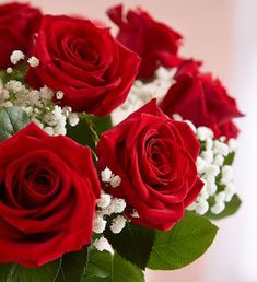 red roses and white baby's breath in a vase