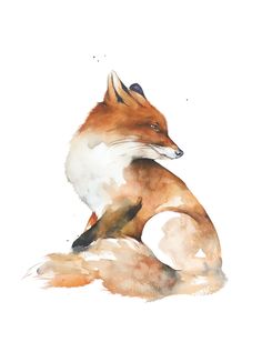 a watercolor painting of a fox sitting on the ground