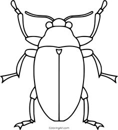 a black and white drawing of a bug