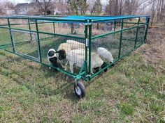 two sheep are in a green cage on the grass