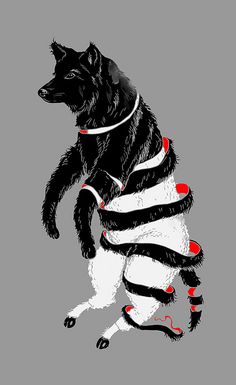 a black and white dog with red shoes on it's legs, standing upright