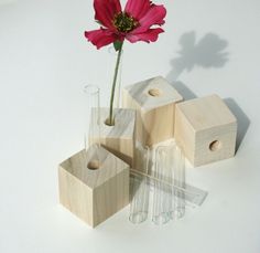 a red flower in a glass vase next to some wooden blocks and beakers on a white surface