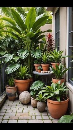 many potted plants on the outside of a house