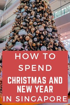 a christmas tree with the words how to spend christmas and new year in singapore