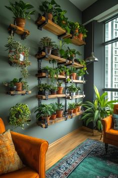 a living room filled with lots of potted plants on shelves next to a window