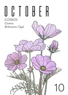 an image of purple flowers on a white background with the words october 10 in spanish