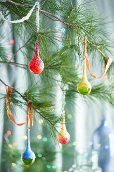 christmas ornaments hanging from the branches of a pine tree