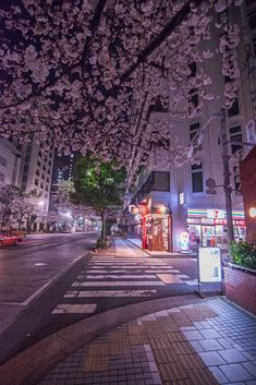 a city street at night with cherry blossoms on the trees and buildings in the background