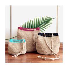 three bags sitting on top of a wooden floor next to a plant