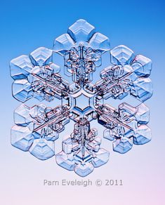 a snowflake is shown in the middle of blue and pink colors with an intricate design