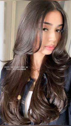 Dark Hair 90s Layers, Kendall Jenner Layered Hair, Jet Black Long Hair With Layers, Straight Haircut With Layers, Layered Haircuts Straight Hair, Rich Girl Blowout, Long Brown Hair Coquette