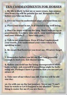 the ten commandments for horses