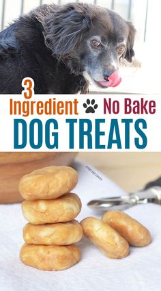 three ingredient no bake dog treats stacked on top of each other with the title overlay