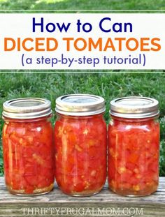 three jars filled with pickled tomatoes sitting on top of a wooden table in the grass