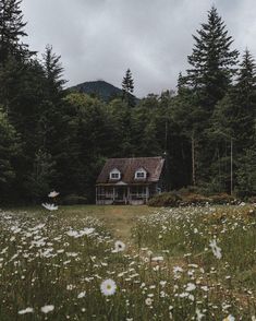 a house sitting in the middle of a field with white flowers on it and trees