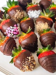 chocolate covered strawberries are arranged on a white plate